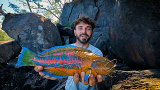 Ces gros poissons exotiques foncent sur mon appât vivant  Vlog PÊCHE 974 [upl. by Chester]