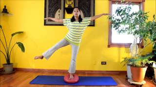 Dyna Disc Fun  Firm up Lower Body through these Exercises with Vidya Nahar  Daily Pilates 27 [upl. by Alena]