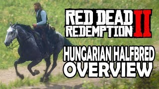 Hungarian Halfbred Overview  Red Dead Redemption 2 Horses [upl. by Midge865]