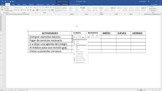 Cómo hacer un cronograma de actividades en Word [upl. by Jeniece]