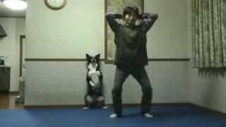 Dog does sit up exercise with owner HILARIOUS [upl. by Sheff526]