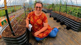 Lets Plant TOMATOES in the Greenhouse amp Take a Walk With the Goats [upl. by Edny]