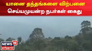 Nilgiris News  முதுமலையில் யானை தந்தங்களை விற்பனை செய்ய முயன்ற நபர்கள் கைது  Elephant Tusks [upl. by Marlee]