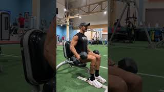 Seated db hammer curls [upl. by Ellicott21]