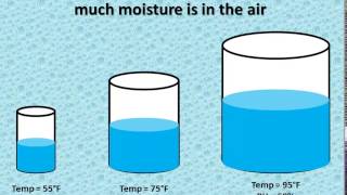 Relative Humidity vs Dewpoint [upl. by Sevein]