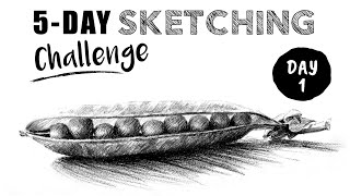 Pencil Sketching 5 DAY Challenge  Lesson 1 [upl. by Rothstein]