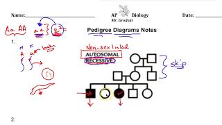 AP Biology Pedigree Diagram Lecture [upl. by Riannon]