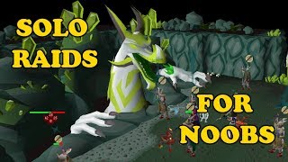 SOLO RAIDS GUIDE FOR NOOBS  First Time Solo Raider Guide [upl. by Shevlo12]