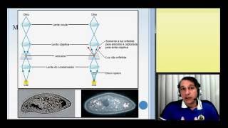 3° aula  Microscopia [upl. by Betthezul]