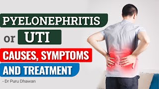 Pyelonephritis or UTI Causes Symptoms and Treatment [upl. by Clawson]