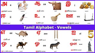 Tamil alphabets  Tamil Vowels  Learn Entry [upl. by Novets]