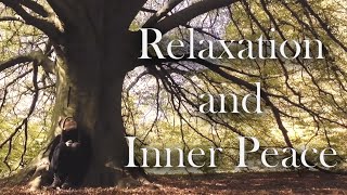 An Autumn walk with Julia Sawalha for relaxation and inner peace [upl. by Lleksah184]