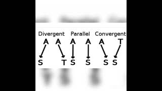 Divergent Parallel and Convergent evolution AnthropologyInsightsforUPSCNET [upl. by Iliam]