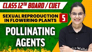 Sexual Reproduction in Flowering Plants 05  Pollinating Agents  Class 12thCUET [upl. by Kopp105]