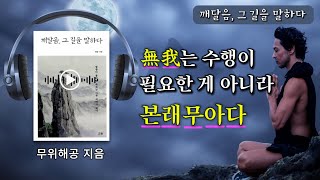 이 단순한 진리를 그냥 있는 그대로 받아들이기만 하면 된다 오디오 북 명상 스승 깨달음 진리 무아연기 도반 혜가 해공명상 마음공부 [upl. by Ynottirb129]