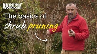 The basics of shrub pruning [upl. by Cibis416]