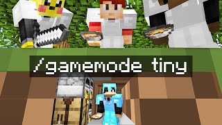 Minecraft Manhunt but i secretly used TINY mode [upl. by Fatma]