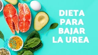 UREA ALTA en SANGRE  DIETA para bajar la UREA ALTA en SANGRE [upl. by Yrkcaz579]