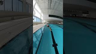 Easy and smooth freestyle swimming more info in comments swimming [upl. by Akiehsal]