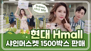 촬영 현대 Hmall 쇼핑라이브 쇼호스트 정무린💙 샤인머스켓 1500박스 판매완료 [upl. by Inad]