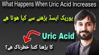 Uric Acid Badhne Se Kya Hota Hai  What Happens When Uric Acid Increases [upl. by Hawk]