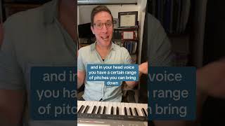 Vocal Flipping Voice Teacher Analyzes Caroline Polacheks Technique [upl. by Ramhaj]