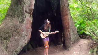 Performing in a burnt Redwood Tree [upl. by Ynttirb]