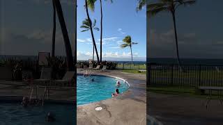 Best Places to Stay on Maui  Papakea Resort shorts [upl. by Tavis]