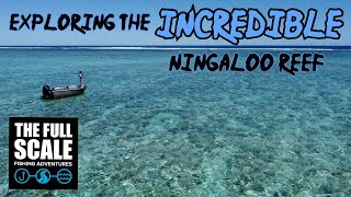 Exploring The INCREDIBLE Ningaloo Reef  The Full Scale [upl. by Ittocs]