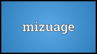 Mizuage Meaning [upl. by Rozelle]