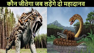 Saber toothed tiger vs Titanoboa कौन जीतेगा इन दानवों में से [upl. by Ellehctim489]