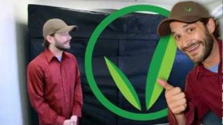 Grow Room  Stealth Hydroponic Grow Systems [upl. by Norris]