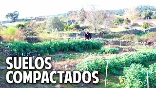 Como evitar y solucionar la compactacion del suelo cosasdeljardin [upl. by Bolton762]