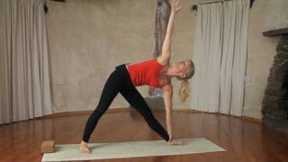 Reversed Triangle Pose Yoga [upl. by Lledniw]