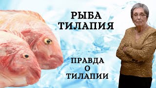 Рыба тилапия Правда о тилапии [upl. by Hurley]