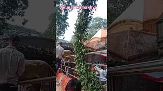 Ma Kamakhya temple assam neelanchal parvat [upl. by Hephzipa]