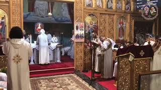 Divine Liturgie du Dimanche  03112024 [upl. by Herta]