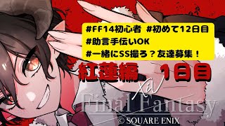 【初見さん大歓迎】FF14初心者12日目！いよいよ紅蓮編突入！ 1 ff14初心者 新人vtuber 蒼天編 [upl. by Lyrahc542]