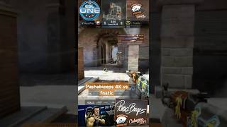 Pashabiceps 4K one spray AK vs fnatic csgo pashabiceps virtuspro csgomoments csgoclips esl [upl. by Dolora]