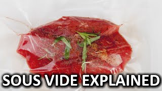 Sous Vide As Fast As Possible [upl. by Mutz]