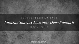 319 Sanctus Sanctus Dominus Deus Sabaoth BWV 325 [upl. by Kola]