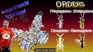 Insect Orders Part 2 Plecoptera Embioptera Zoraptera and Dermaptera  By Dr Imran Khatri [upl. by Etom]