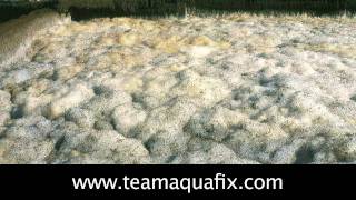 Reducing Foam In A Wastewater Treatment Plant [upl. by Buna]