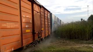 tren del belgrano cargas procedente de dean funes [upl. by Ataga629]