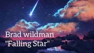 Falling Star  ballad originalsong classicrock folkrock [upl. by Birk668]