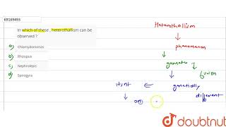 In which of these  heterothallism can be observed [upl. by Zul]