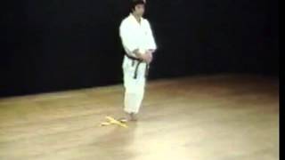 Bassai DaiHirokazu KanazawaKata Shotokan SKIF [upl. by Ahseiyk]