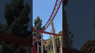 Jaguar On The Loose At Knotts Berry Farm [upl. by Zoila]