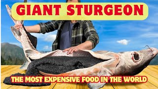 How Sturgeon Caviar is Farmed and Processed [upl. by Beverly]