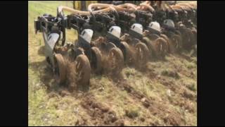 Alabama Strip Till into Henbit [upl. by Farhi]